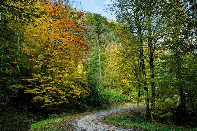 جمشیدآباد رستم آباد